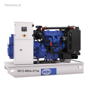 FG Wilson Genset 10 kva