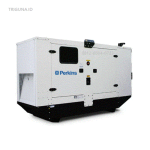 Perkins Genset